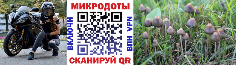 хочу   даркнет Telegram  Галлюциногенные грибы Psilocybine cubensis  Бирск 